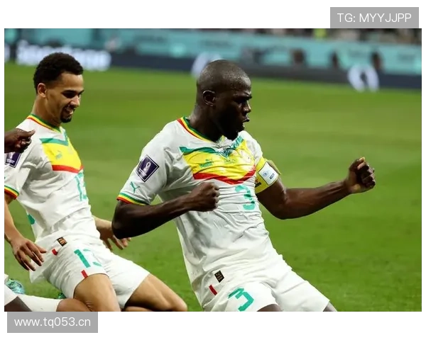 塞内加尔夺冠球员获赠巨奖土地